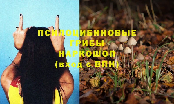 герыч Алексин