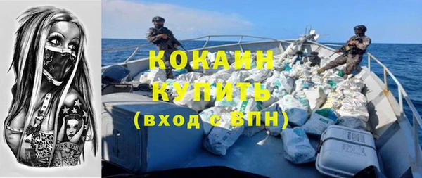 дживик Алзамай